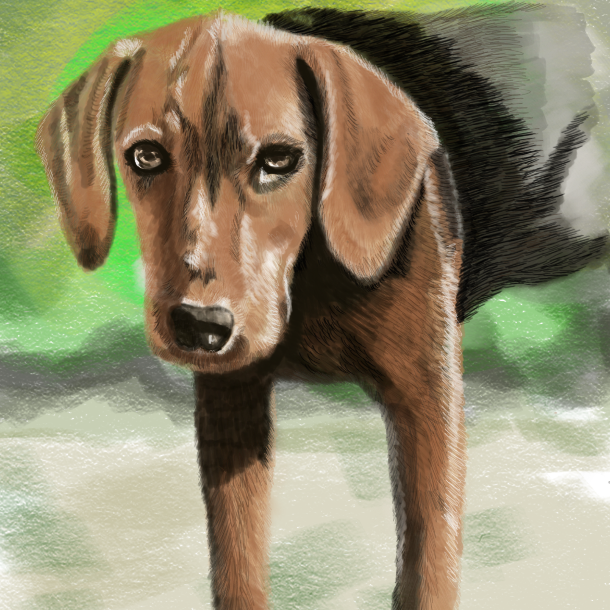 Digital illustration av hund, skapad med ritplatta – exempel på digitalt ritande med Samsung Galaxy Tab S6