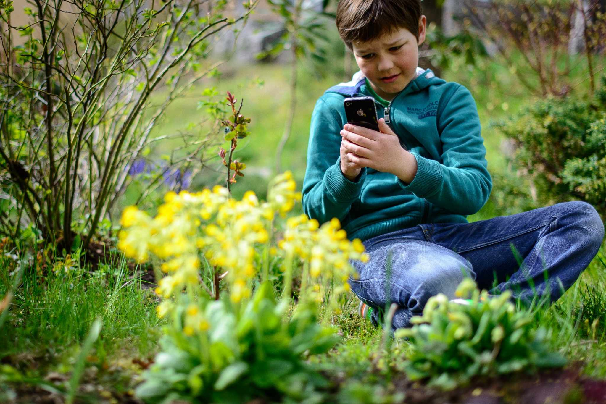 Pojke sittande bland gula blommor i en trädgård och tittar på sin mobiltelefon, exempel ur Sogetis bildbank