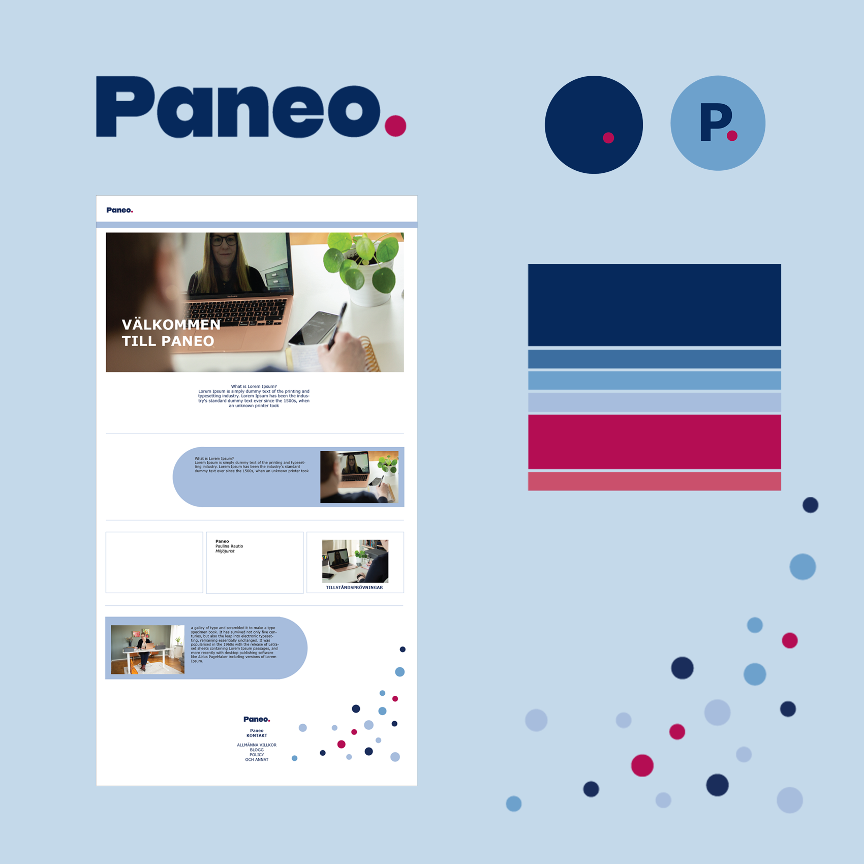 Exempel på grafisk profil och varumärkesstrategi för Paneo.